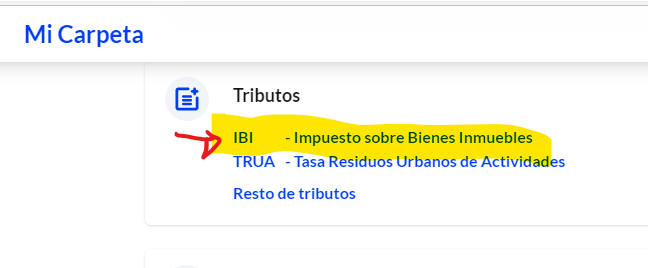IBI 1
